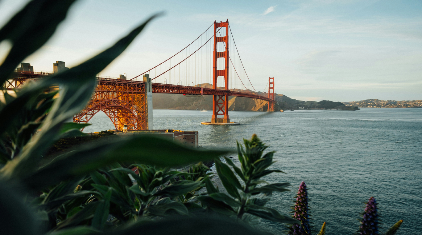 The Golden Gate Bridge spans across the water with hills in the background and plants in the foreground under a clear sky.