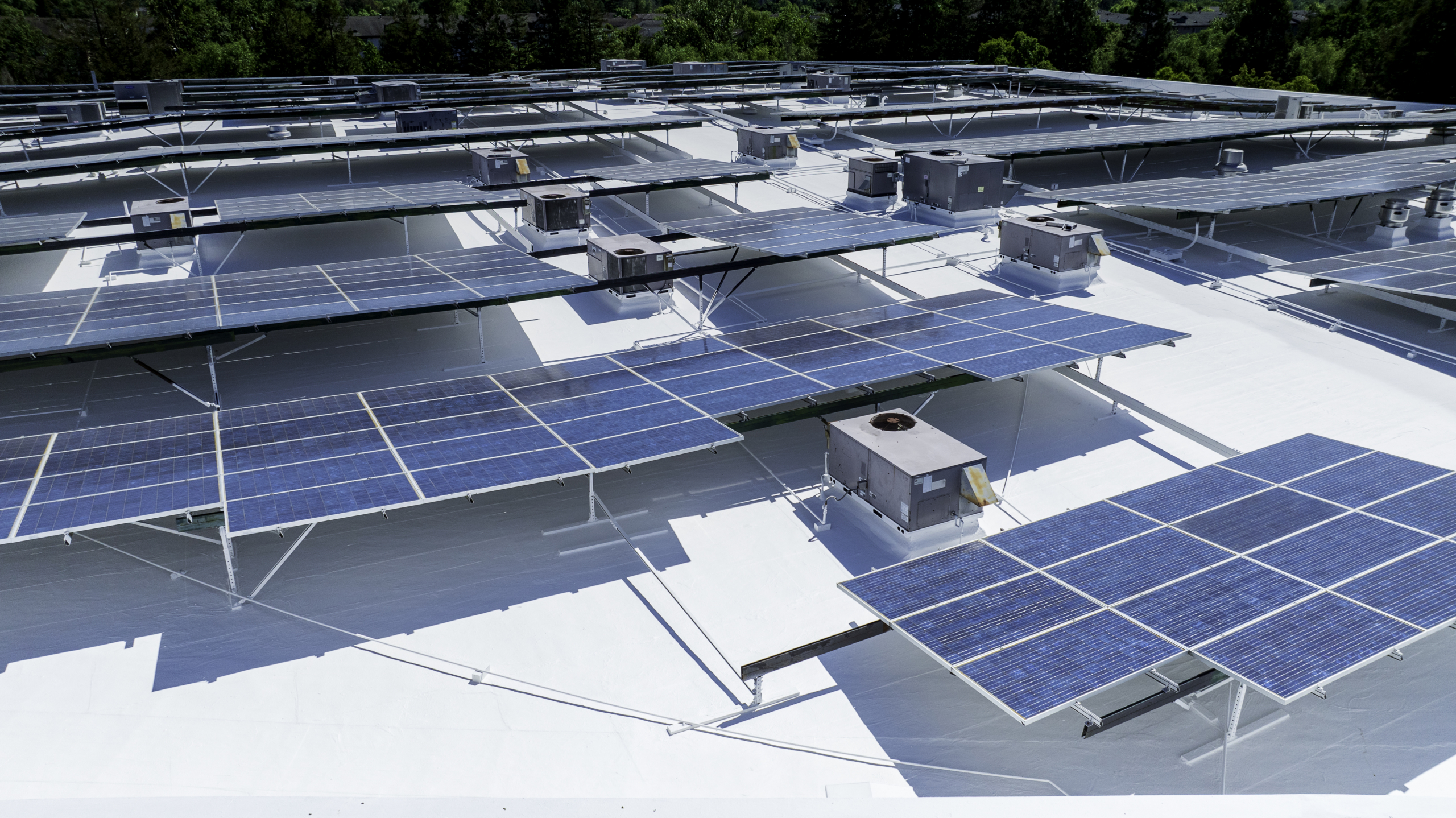 A rooftop covered with multiple solar panels, installed on a white surface, with structures supporting their alignment.